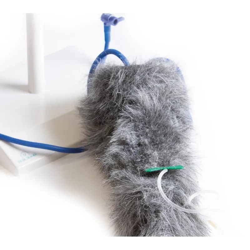 IV. Injection Leg Canine