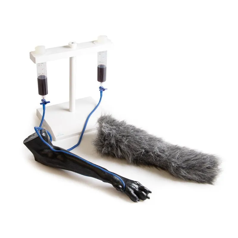 IV. Injection Leg Canine