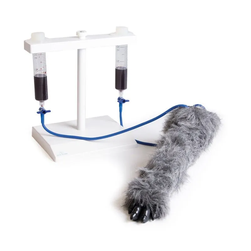 IV. Injection Leg Canine