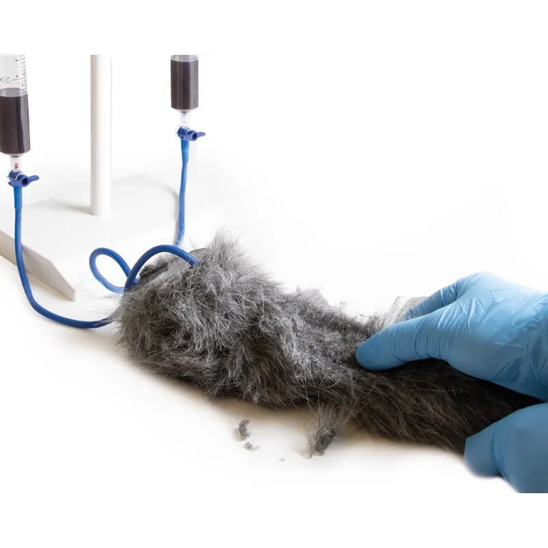 IV. Injection Leg Canine
