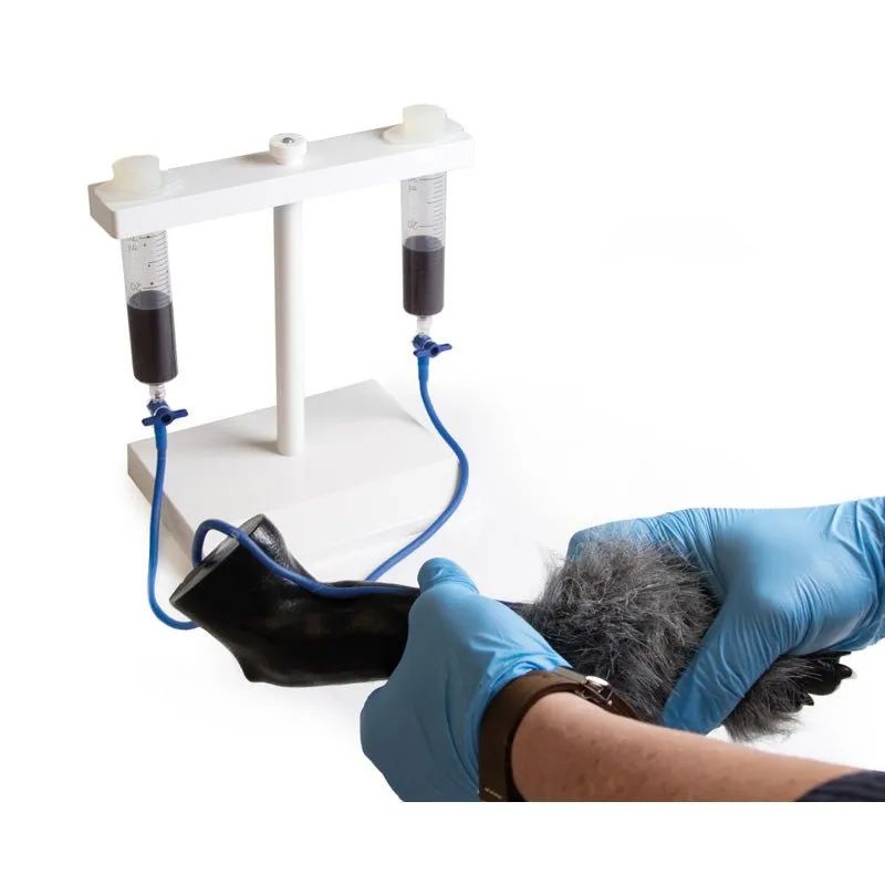 IV. Injection Leg Canine