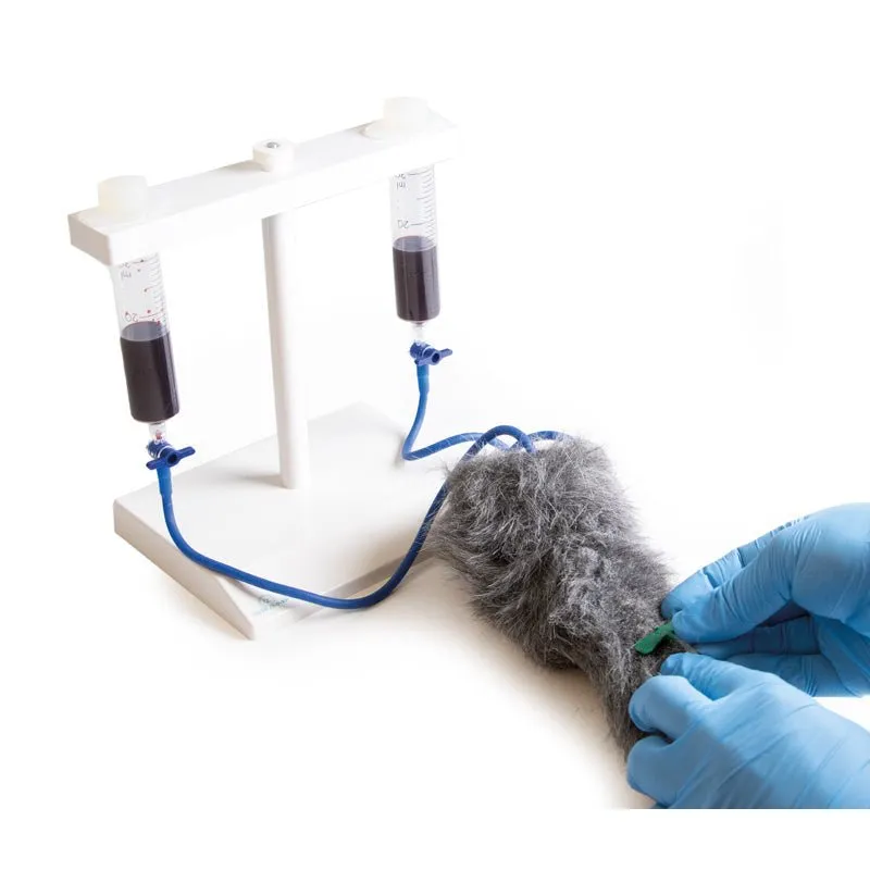 IV. Injection Leg Canine