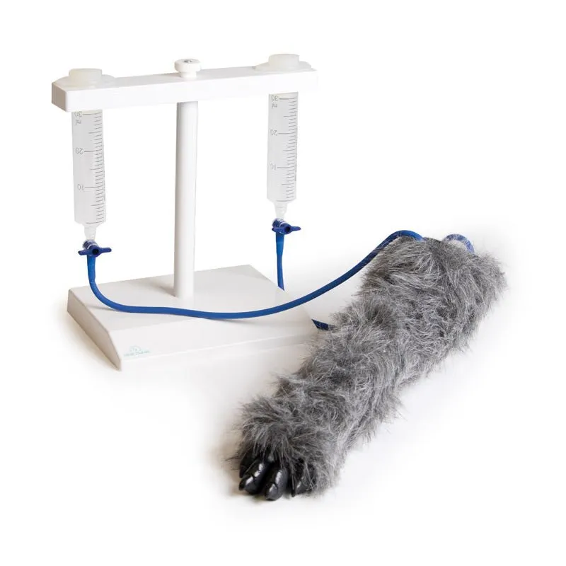 IV. Injection Leg Canine