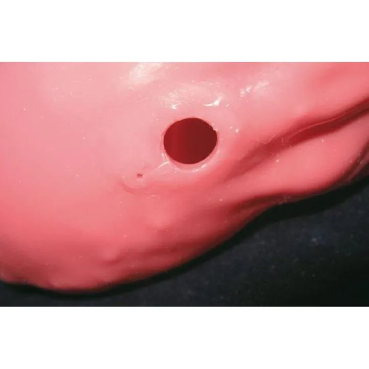 Koken EGD (Esophago-Gastro-Duodenoscopy) Simulator