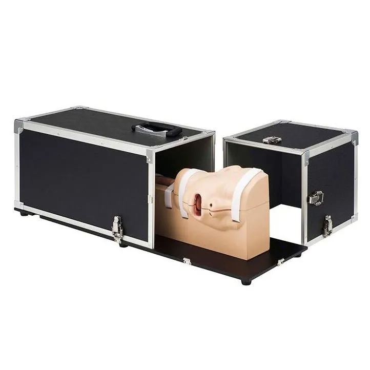 Koken EGD (Esophago-Gastro-Duodenoscopy) Simulator