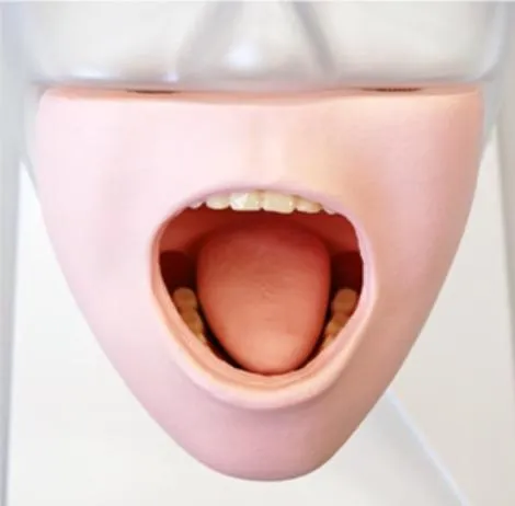 Oral Care Trainer Simulator