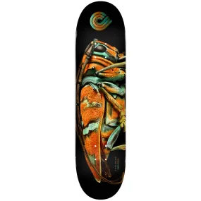 POWELL-PERALTA FLIGHT TECHNOLOGY DECK JEWEL BEETLE SHAPE 248 (9")