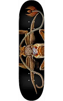 POWELL-PERALTA FLIGHT TECHNOLOGY DECK MARION MOTH SHAPE 243 (8.25")