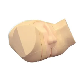 Prostate and Rectal Examination Simulator