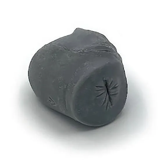 Prostate Castrated
