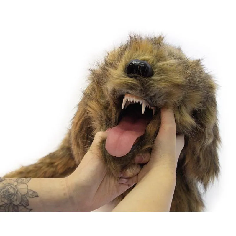 "Rocky" Canine Positioning Manikin