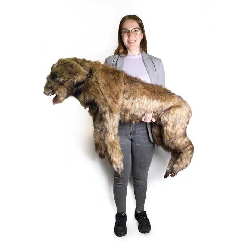 "Rocky" Canine Positioning Manikin