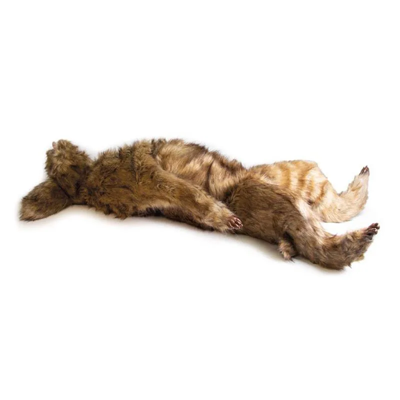 "Rocky" Canine Positioning Manikin
