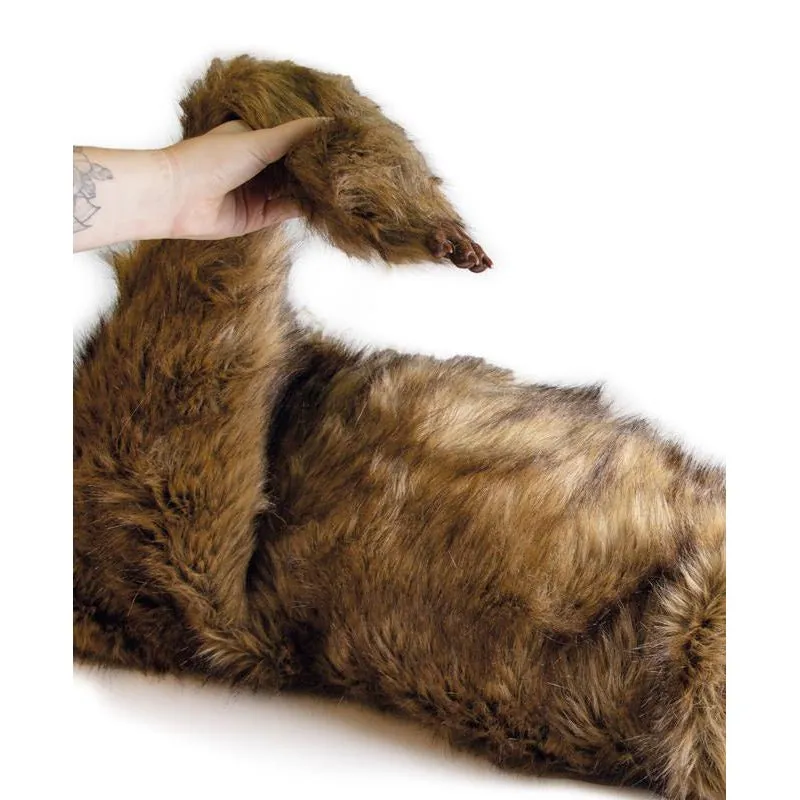 "Rocky" Canine Positioning Manikin