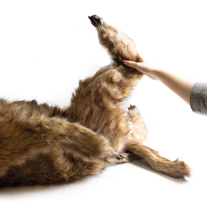 "Rocky" Canine Positioning Manikin