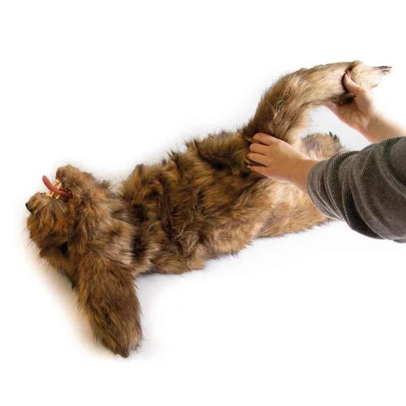 "Rocky" Canine Positioning Manikin