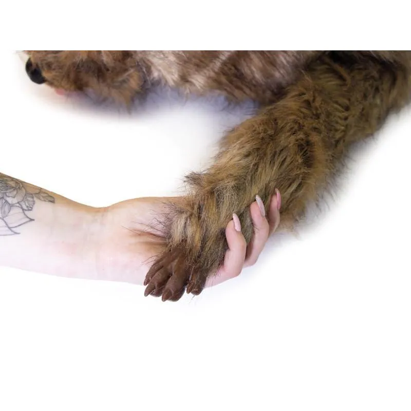 "Rocky" Canine Positioning Manikin