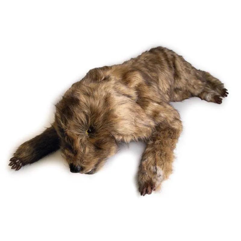 "Rocky" Canine Positioning Manikin