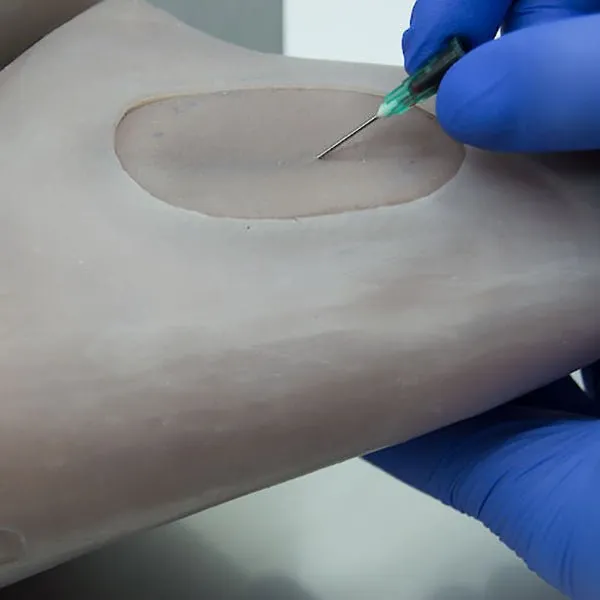 Replacement Femoral Vein Kit for Rhesus Monkey 'Rita'