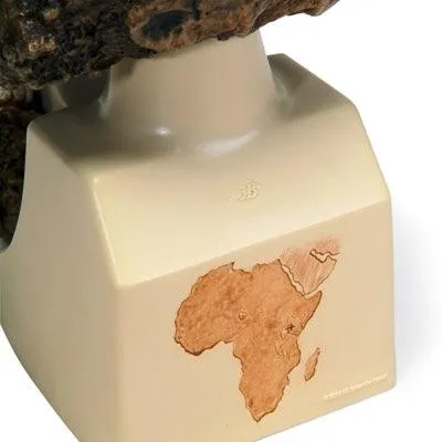 Replica Australopithecus Boisei Skull (KNM-ER 406   Omo L7A-125)