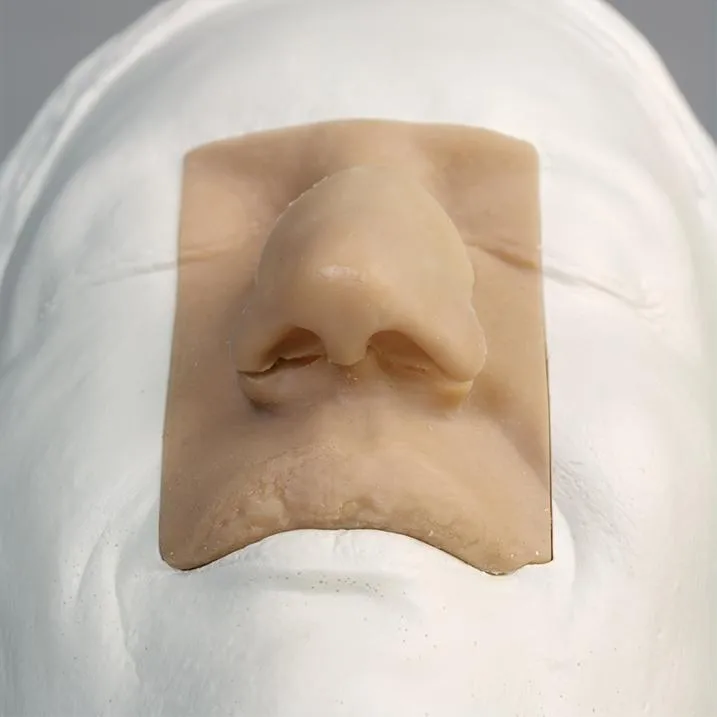 Rhinoplasty Surgical Training Simulator