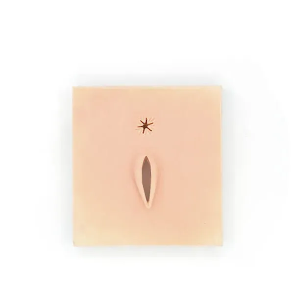 Sheep Vulva Surgical Suture Training Pad for Veterinary Education