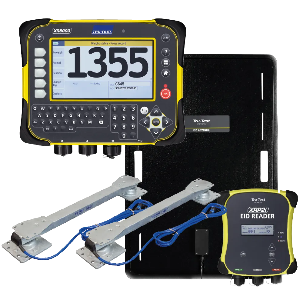 Tru-test XR5000 Weigh Indicator, EID Large Panel Reader system and HD5T Load bars bundle