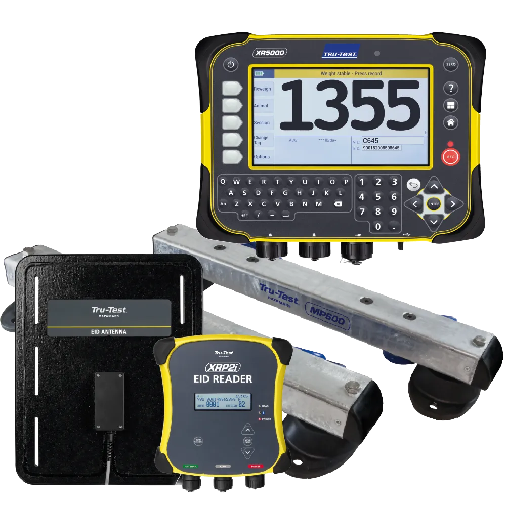Tru-test XR5000 Weigh Indicator, EID Small Panel Reader system , and MP600 Load bars bundle