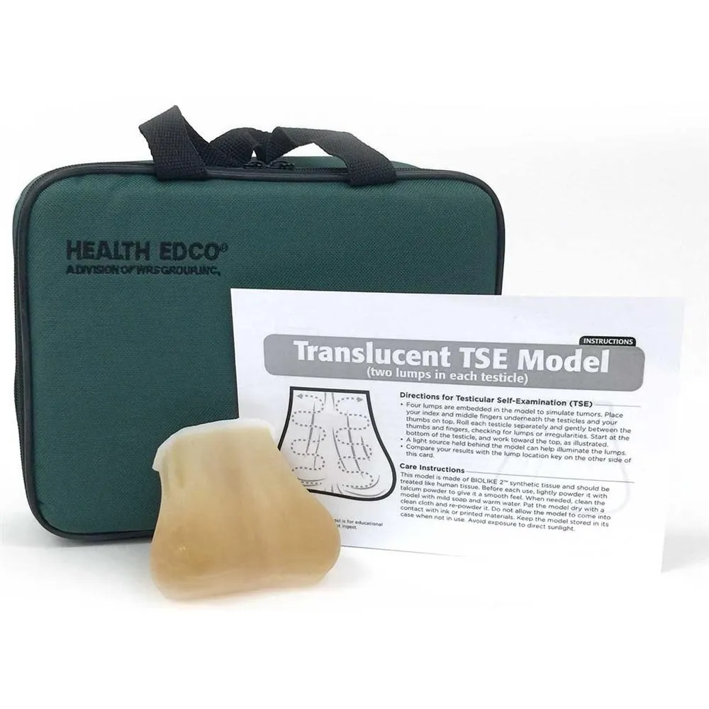 TSE Model, Translucent (two lumps in each testicle)