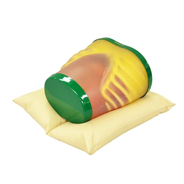 Ultrasound Exam 'ECHOZY' without Pathologies