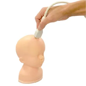 Ultrasound Neonatal Head Phantom, Abnormal Type