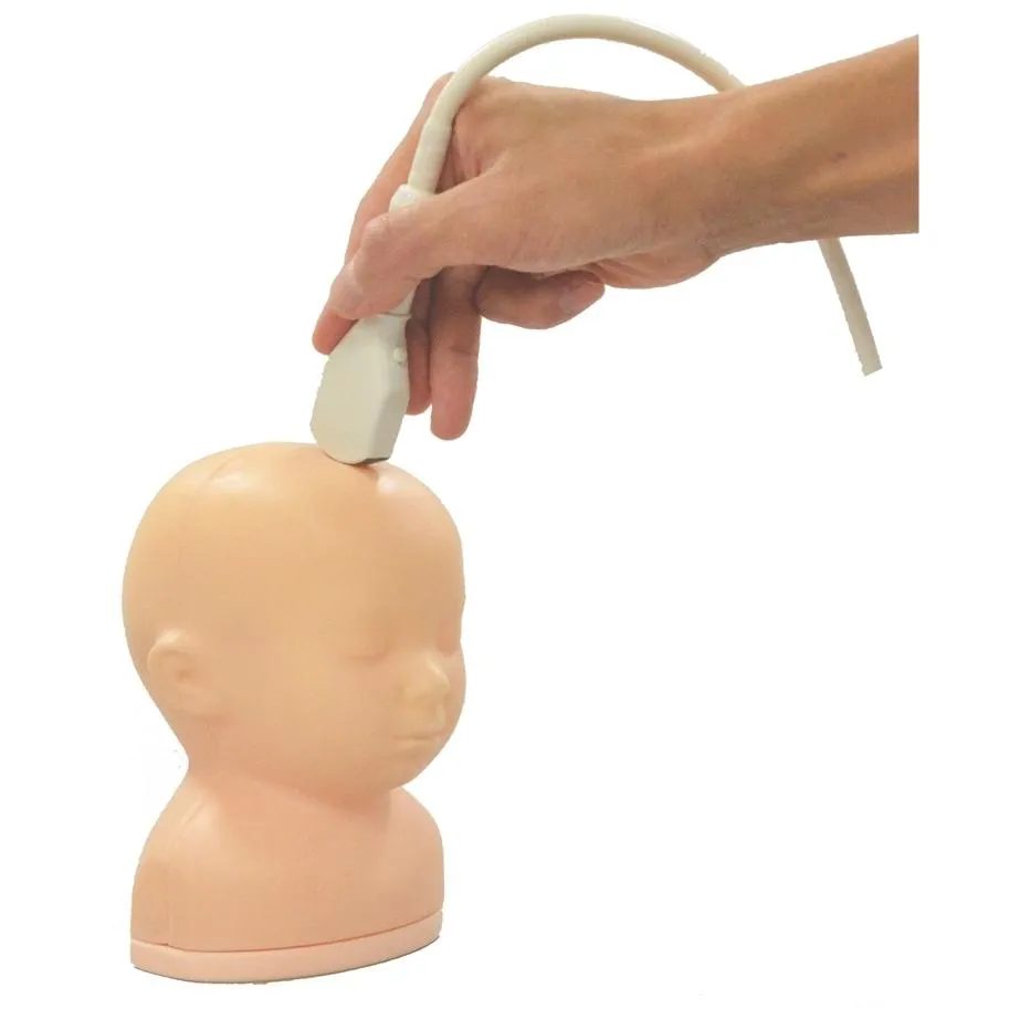 Ultrasound Neonatal Head Phantom, Normal type