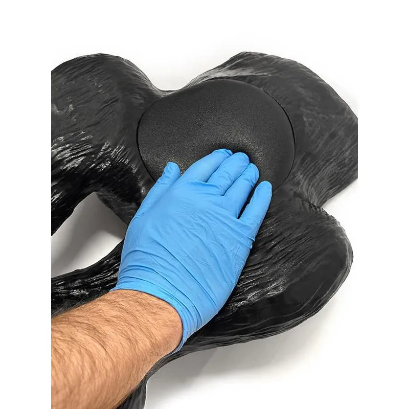 Ultrasound trainer dog bladder