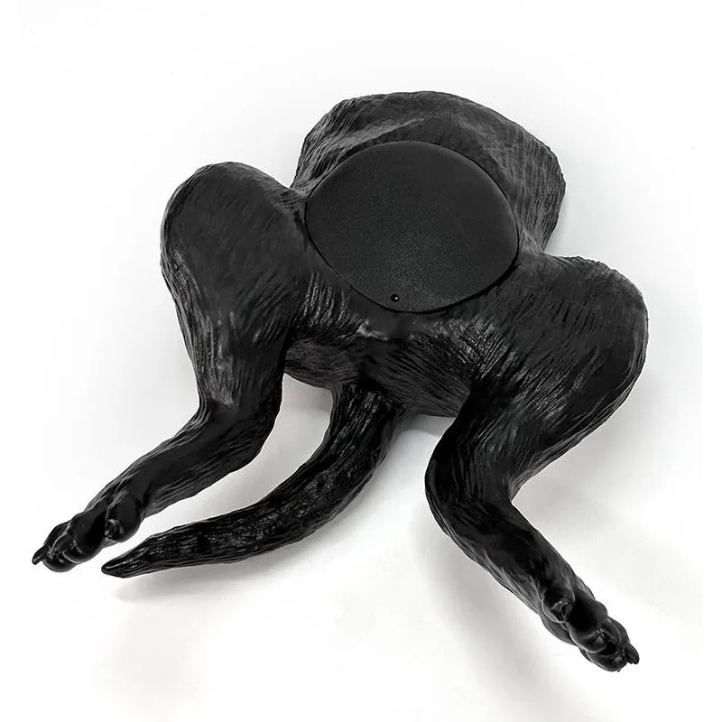 Ultrasound trainer dog bladder