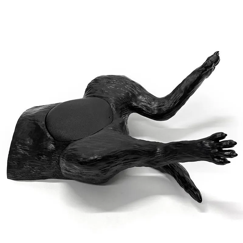Ultrasound trainer dog bladder