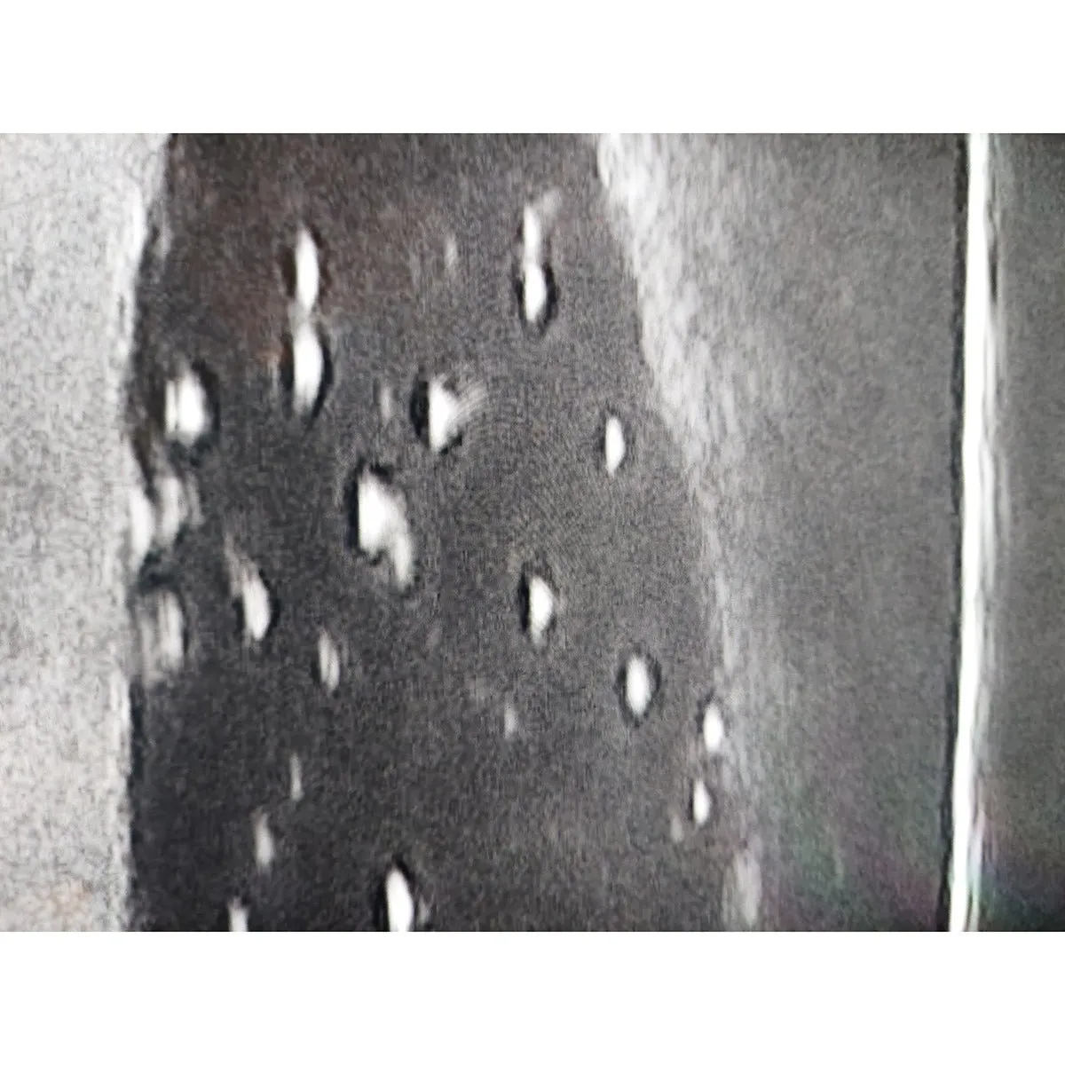 Ultrasound trainer dog bladder