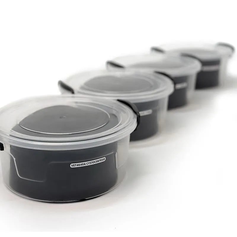 Ultrasound trainer dog bladder