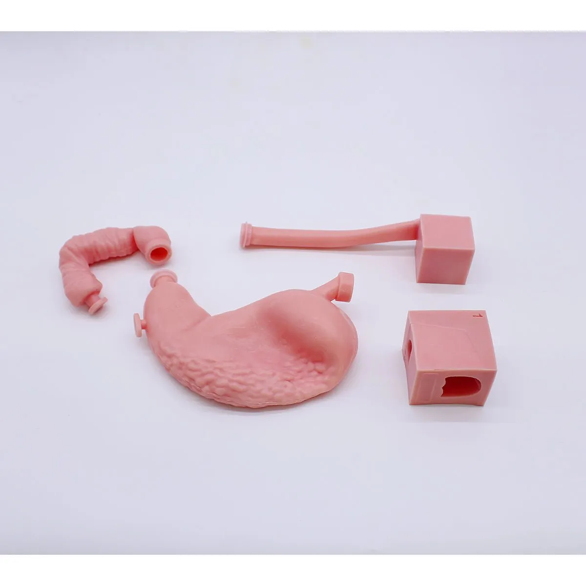 Upper Gastrointestinal Endoscopy Simulator, Advanced