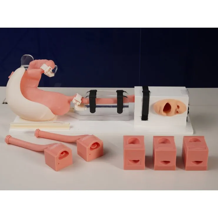 Upper Gastrointestinal Endoscopy Simulator, Advanced